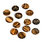 13Pcs 13 Styles Flat Round Natural Tiger Eye Rune Stones, Healing Stones for Chakras Balancing, Crystal Therapy, Meditation, Reiki, Divination Stone, 25x6mm