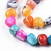 Natural Trochid Shell/Trochus Shell Beads Strands SSHEL-N032-56-3