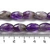 Natural Amethyst Beads Strands G-P520-C02-01-5