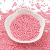 Baking Paint Glass Seed Beads X-SEED-S042-05B-86-2