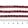 Transparent Glass Beads Strands GLAA-G112-05B-4