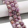 Natural Lepidolite/Purple Mica Stone Beads Strands G-G160-A01-01-2