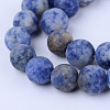 Natural Blue Spot Jasper Beads Strands X-G-Q462-10mm-06-1
