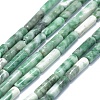 Natural Qinghai Jade Beads Strands G-F631-D15-1