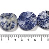 Natural Blue Spot Jasper Beads Strands G-Z061-B07-02-5