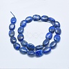 Natural Lapis Lazuli Beads Strands G-E446-11B-2
