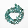 Polished Natural Apatite Chips Beads Strands G-O066-02-2