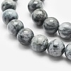 Natural Hawk's Eye Beads Strands G-O166-09-6mm-3