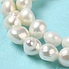 Natural Cultured Freshwater Pearl Beads Strands PEAR-E017-03-4