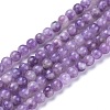 Natural Lepidolite/Purple Mica Stone Beads Strands G-K410-06-8mm-1