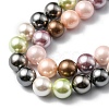 Shell Pearl Colorful Beads Strands BSHE-F013-14M-8mm-5