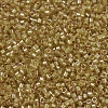 MIYUKI Delica Beads X-SEED-J020-DB0911-3
