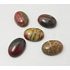 Polychrome Jasper/Picasso Stone/Picasso Jasper Cabochons X-G-H1529-1-1