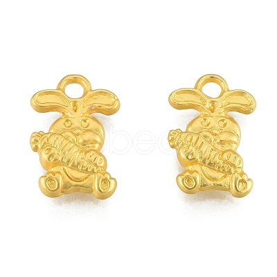 Alloy Charms FIND-G035-06MG-1