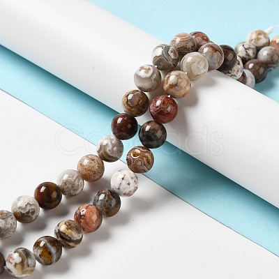 Natural Mexican Lace Agate Beads Strands G-E578-02C-1