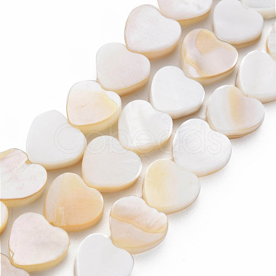 Natural Freshwater Shell Beads Strands SHEL-S276-70-1