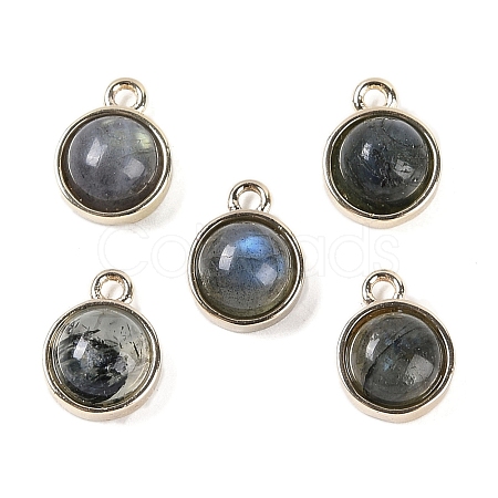 Natural Labradorite Pendants G-K372-03G-08-1