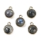 Natural Labradorite Pendants, with GoldenTone Rack Plating Brass, Flat Round, 9.8x7.5x4.3mm, Hole: 1.2mm