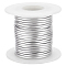 Custom Round Aluminum Wire, Platinum, 10 Gauge, 2.5mm, about 32.81 Feet(10m)/Roll