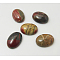 Polychrome Jasper/Picasso Stone/Picasso Jasper Cabochons, Oval, Colorful, 18x13x6mm