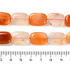 Natural Agate Beads Strands G-H024-F01-01-5