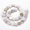 Electroplated Natural Freshwater Shell Beads Strands X-SHEL-N026-164-2