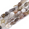 Natural Botswana Agate Beads Strands G-S363-043-1