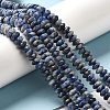 Natural Blue Spot Jasper Beads Strands G-Z030-A01-01-4