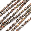 Natural Silver Crazy Lace Agate Round Beads Strands G-N0166-34-4mm-1