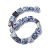 Natural Blue Spot Jasper Beads Strands G-K359-B19-01-3