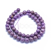 Natural Lepidolite/Purple Mica Stone Beads Strands G-L552H-09C-3