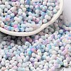 Baking Paint Glass Seed Beads SEED-F005-01A-14-1