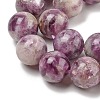 Natural Lepidolite/Purple Mica Stone Beads Strands G-G160-A01-03-4