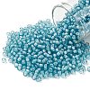 TOHO Round Seed Beads X-SEED-TR08-0930-1