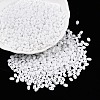 Baking Paint Glass Seed Beads SEED-T006-03A-3