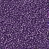 TOHO Round Seed Beads SEED-XTR15-0461-2