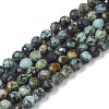 Natural African Turquoise(Jasper) Beads Strands X-G-S361-4mm-002-1