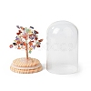Natural Gemstone Chips Money Tree in Dome Glass Bell Jars with Wood Base Display Decorations DJEW-B007-04E-3