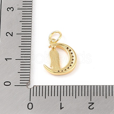 Brass Micro Pave Clear Cubic Zirconia Charms KK-E111-32D-G-1