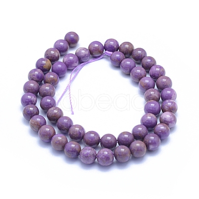 Natural Lepidolite/Purple Mica Stone Beads Strands G-L552H-09C-1