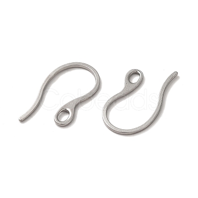 Tarnish Resistant 304 Stainless Steel Earring Hooks STAS-E192-11P-1