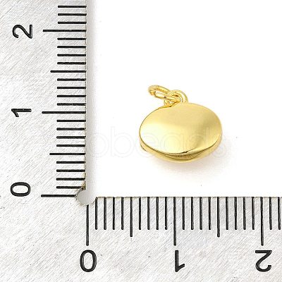 Oval Rack Plating Brass Pendants Charms KK-S396-72G-1