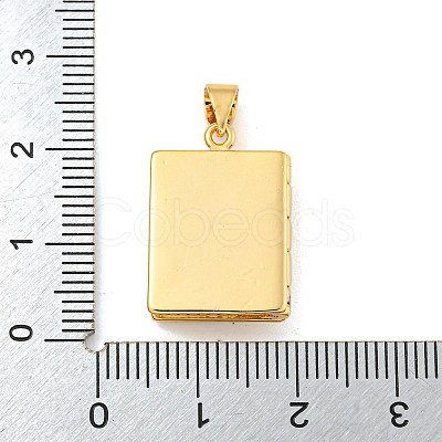 Rack Plating Brass Micro Pave Cubic Zirconia Locket Pendants KK-Z048-04G-1