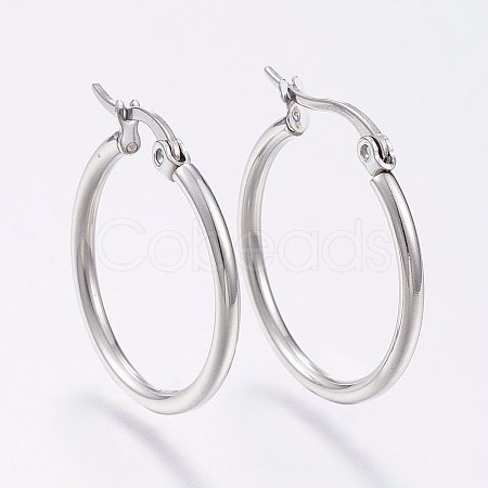 304 Stainless Steel Hoop Earrings X-EJEW-F105-09P-1