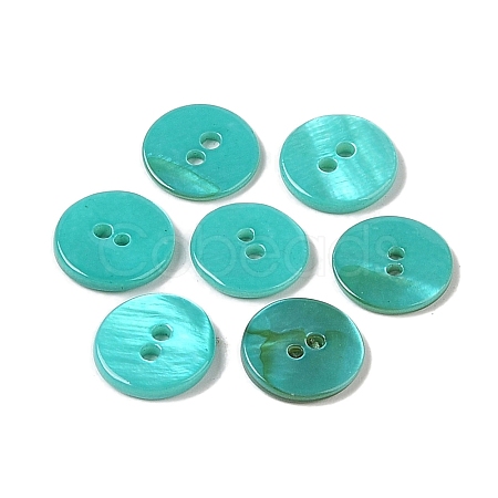 Spray Paint Natural Freshwater Shell Button BSHE-H018-15C-1