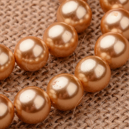 Polished Round Grade A Shell Pearl Bead Strands BSHE-M027-6mm-15-1