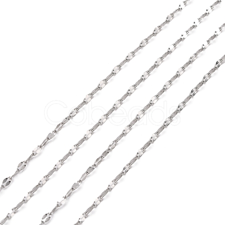304 Stainless Steel Cable Chains CHS-K001-80-1