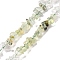 Natural Quartz Crystal & Prehnite Beads Strands, Chip, 4~17x4~10x1~8mm, Hole: 0.8~1mm, about 15.35~16.14 inch(39~41cm)