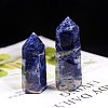 Point Tower Natural Sodalite Home Display Decoration PW-WG54681-03-3