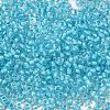 8/0 Transparent Glass Seed Beads SEED-F003-03B-10-3